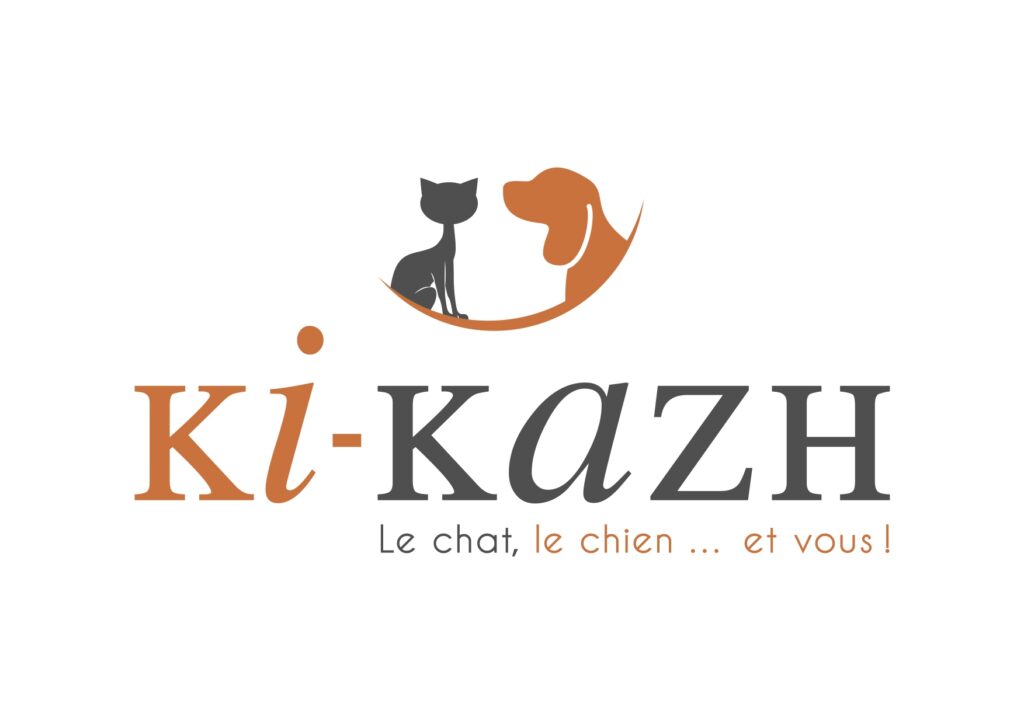 Logo Ki-Kazh