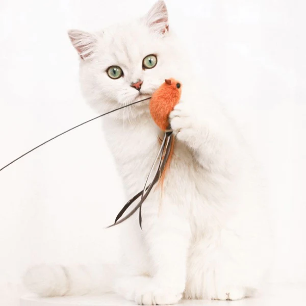 canne a peche chat ki-kazh