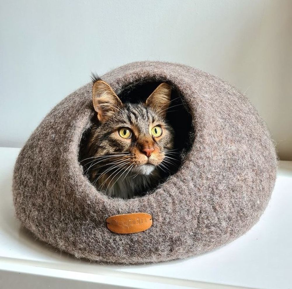 abri grotte cocon cocoon chat ki-kazh
