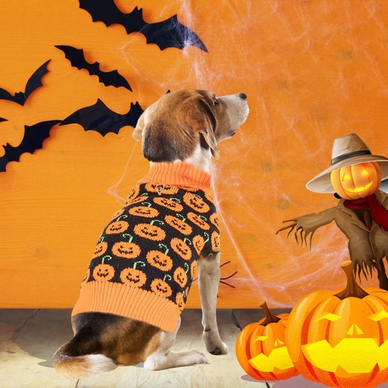 deguisement halloween chien ki-kazh