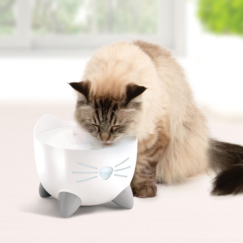 fontaine a eau chat pixi cat it ki-kazh
