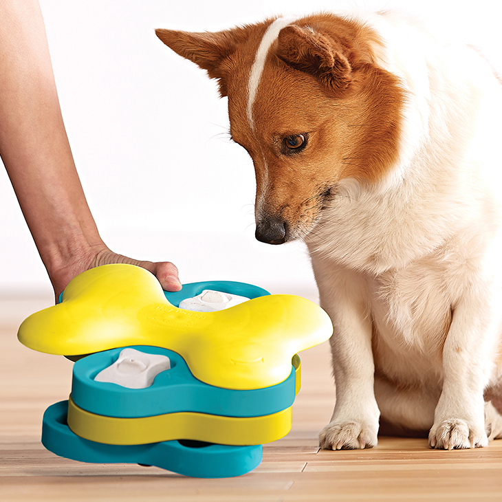 jeu chien puzzle nina ottosson ki-kazh