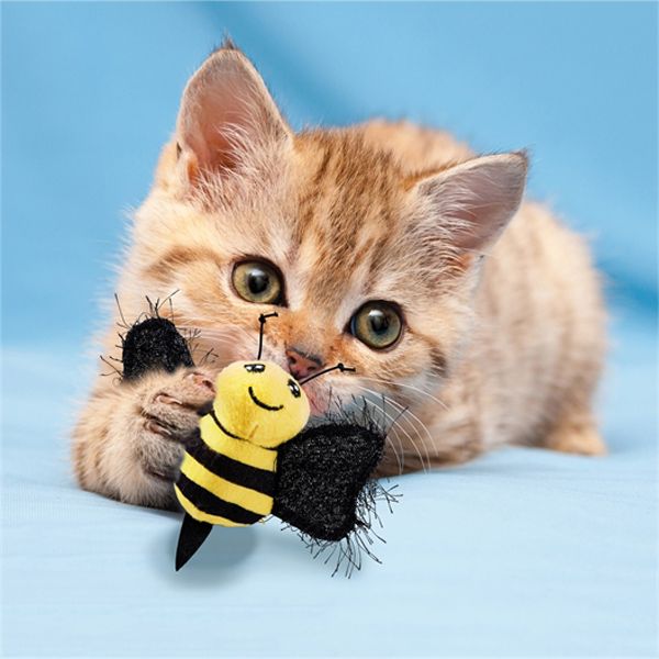 jouet abeille kong chat ki-kazh