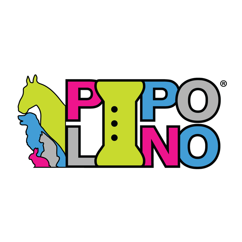 logo pipolino ki-kazh