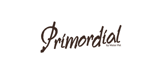 logo primordial ki-kazh
