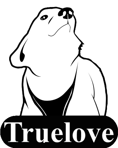 logo true love ki-kazh