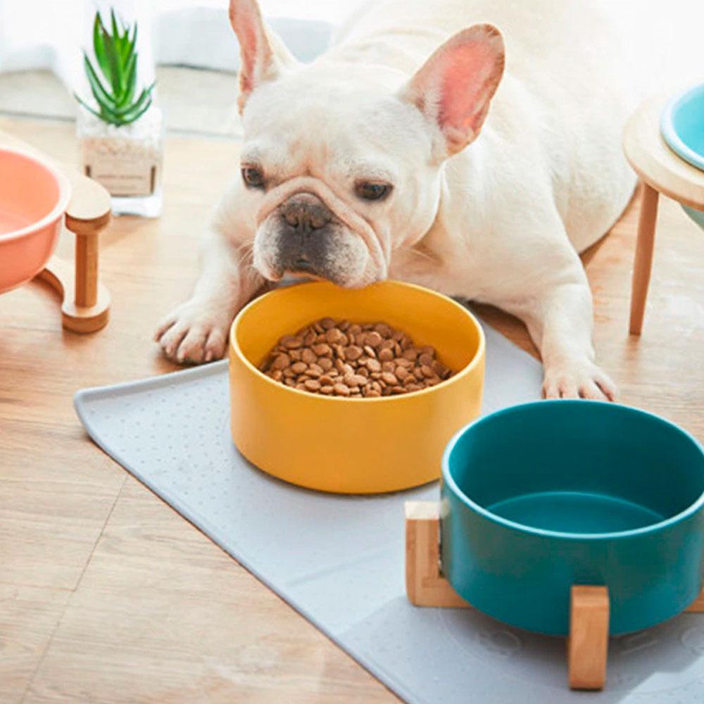 kikazh-rennes-gamelle-chat-chien