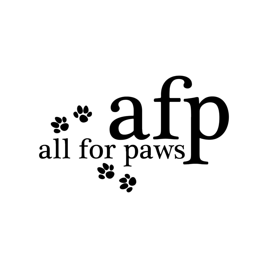 Ki-kazh AFP