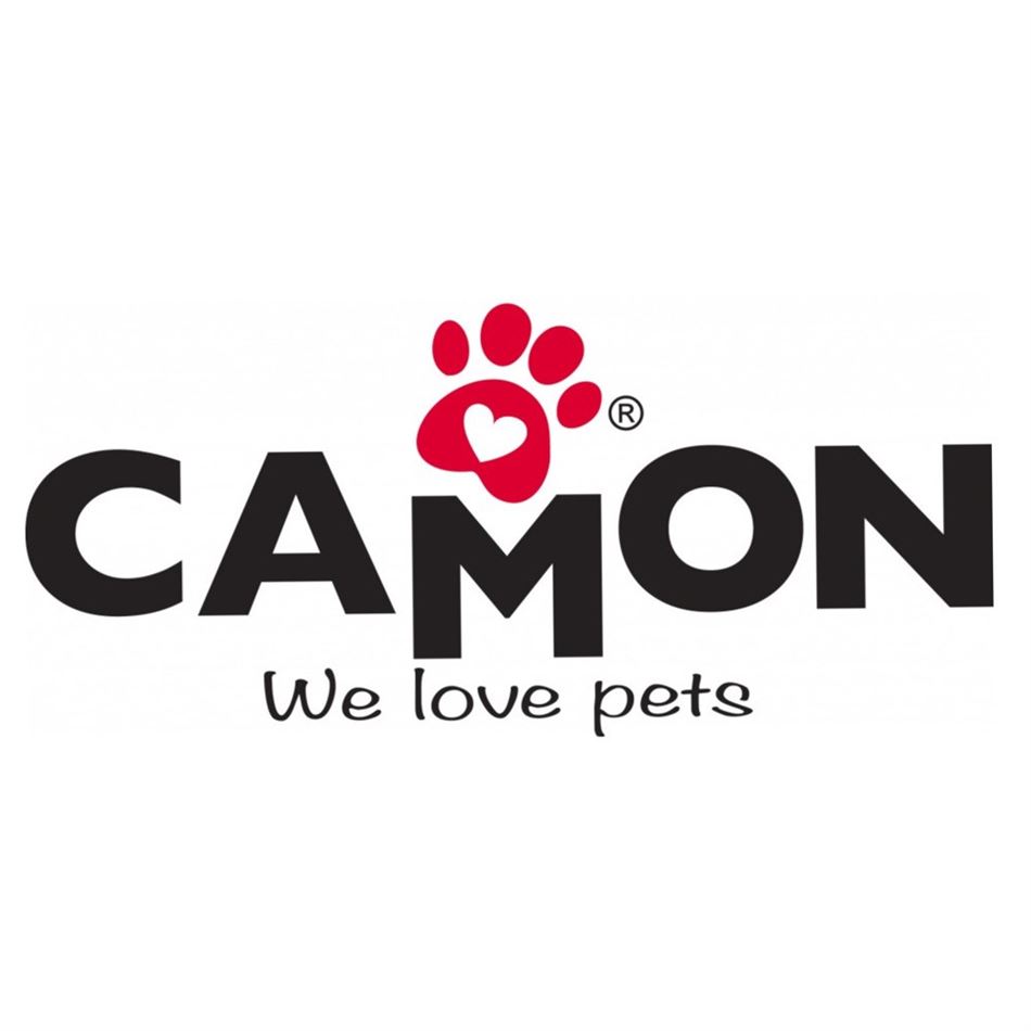 Ki-kazh logo camon