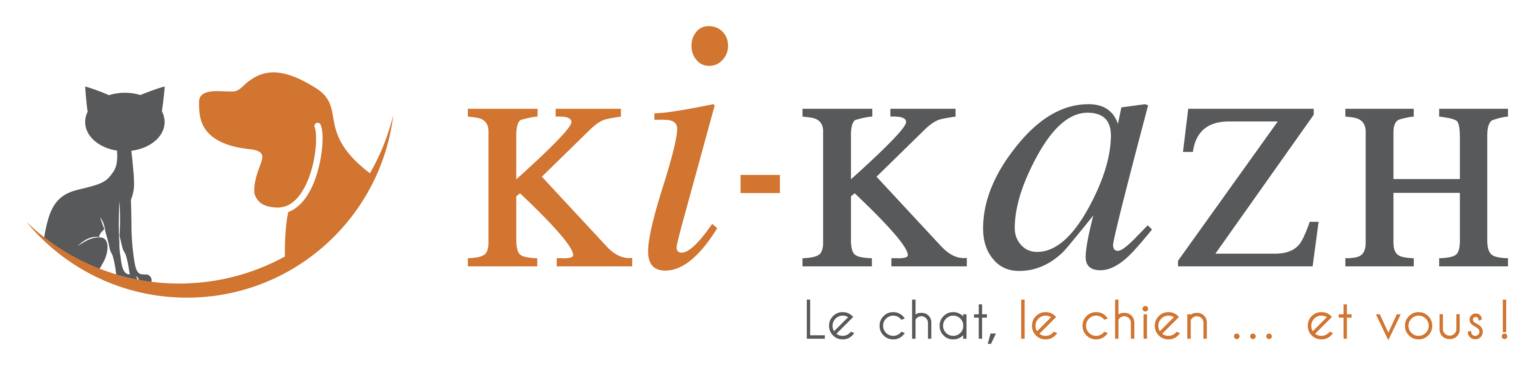 KI-KAZH