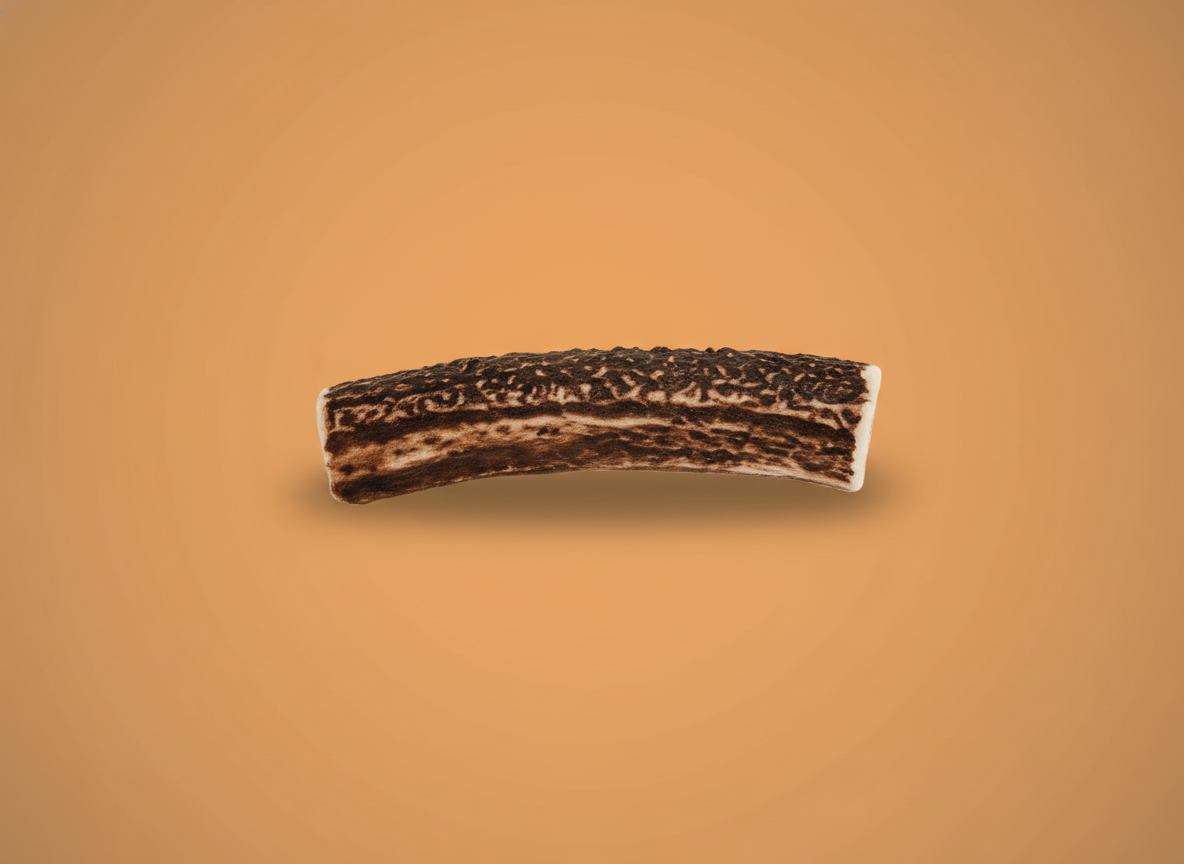 mastication naturelle