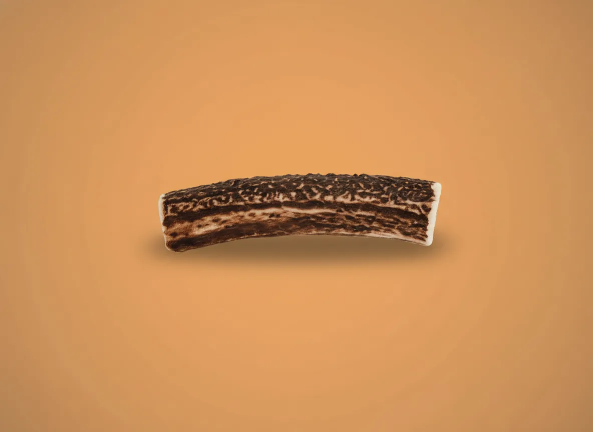 mastication naturelle