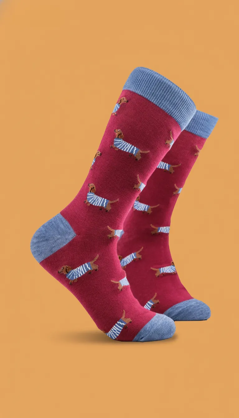 chaussettes chien chat Rennes cadeau original animaux