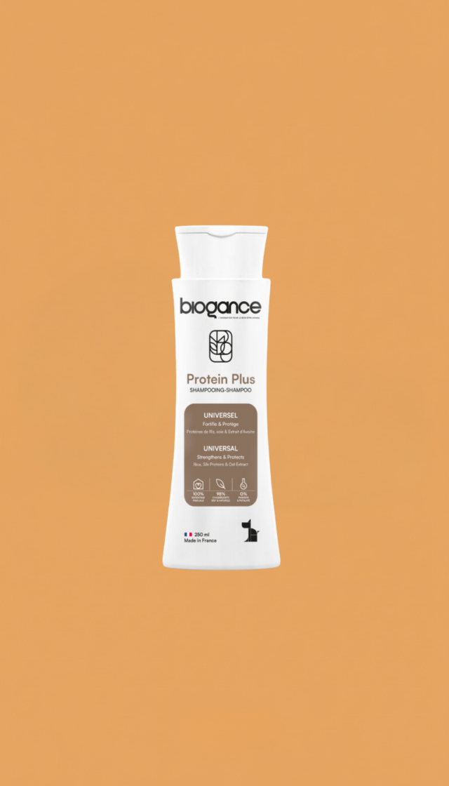 shampoing chien Rennes toilettage animal