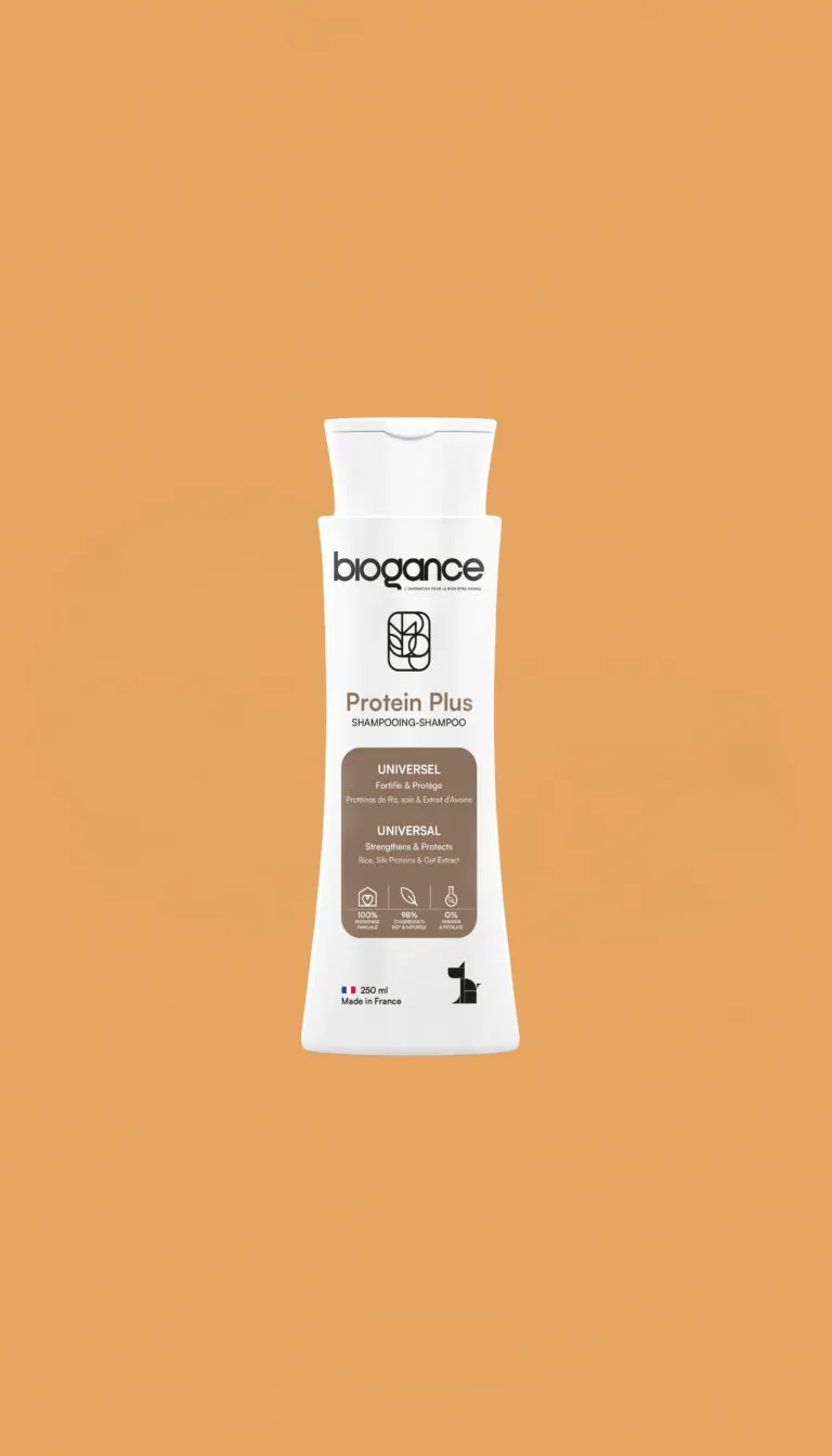 shampoing chien Rennes toilettage animal